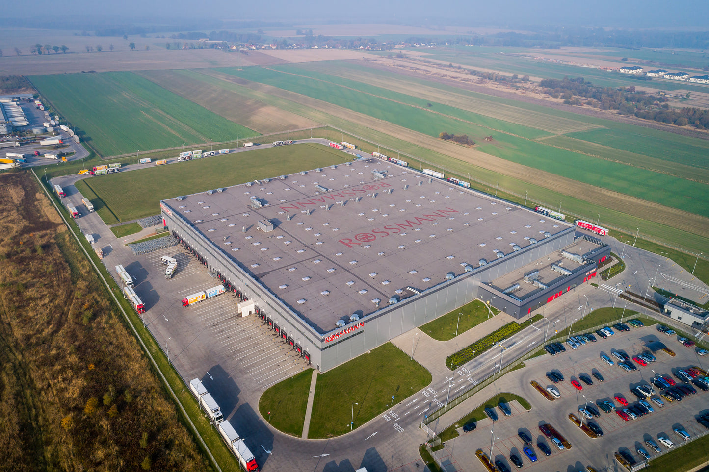 PROTAN ELMARK: Custom Roof Logo (Free Consult)